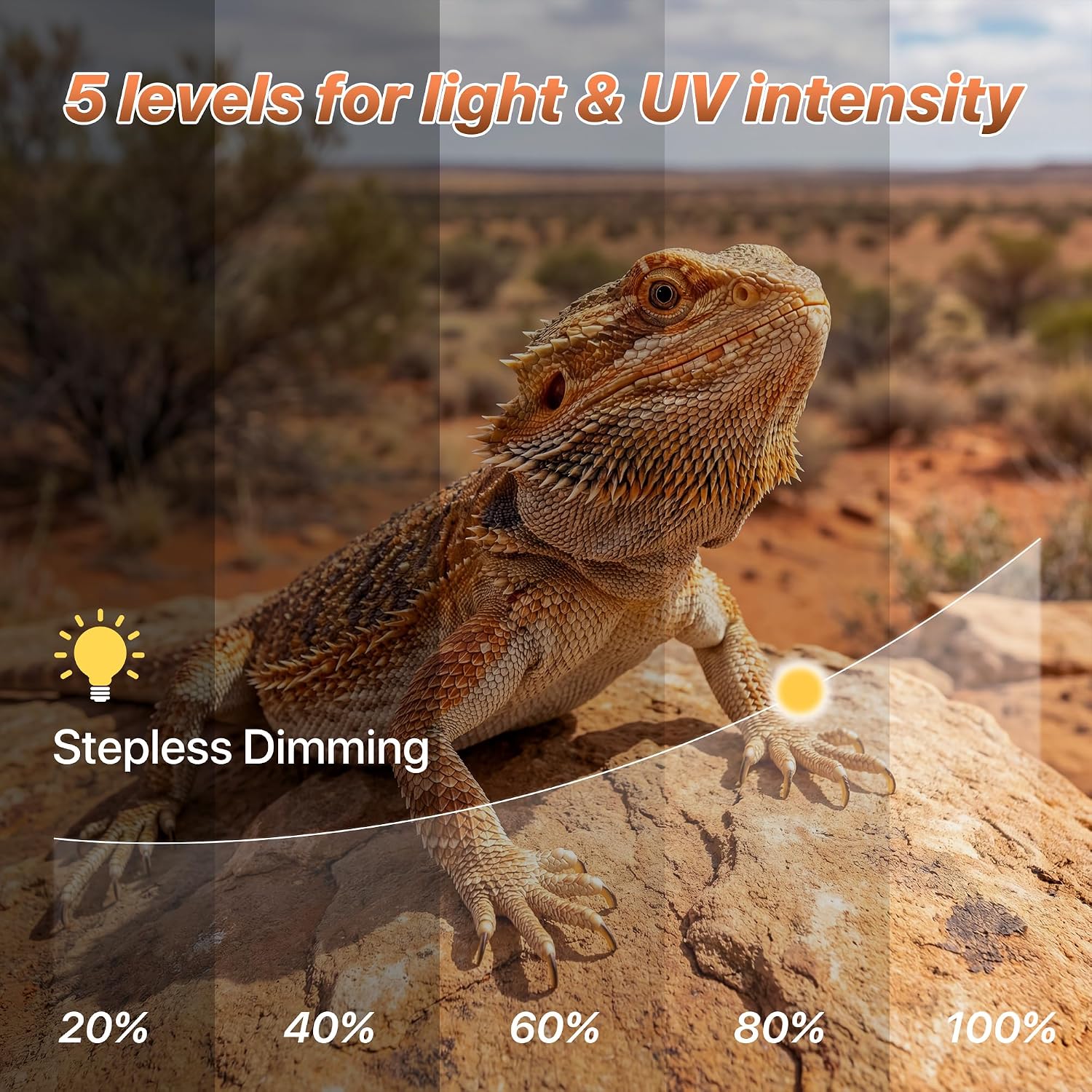 LED UVB Reptile Light with Timer & Dimmer (8.5inch) | 8W Full Spectrum UVA UVB Lamp with 3 Lighting Modes,5-Level Dimmable,4/8/12H Cycle Timer,for Bearded Dragon,Gecko,Tortoise thumbnail 5