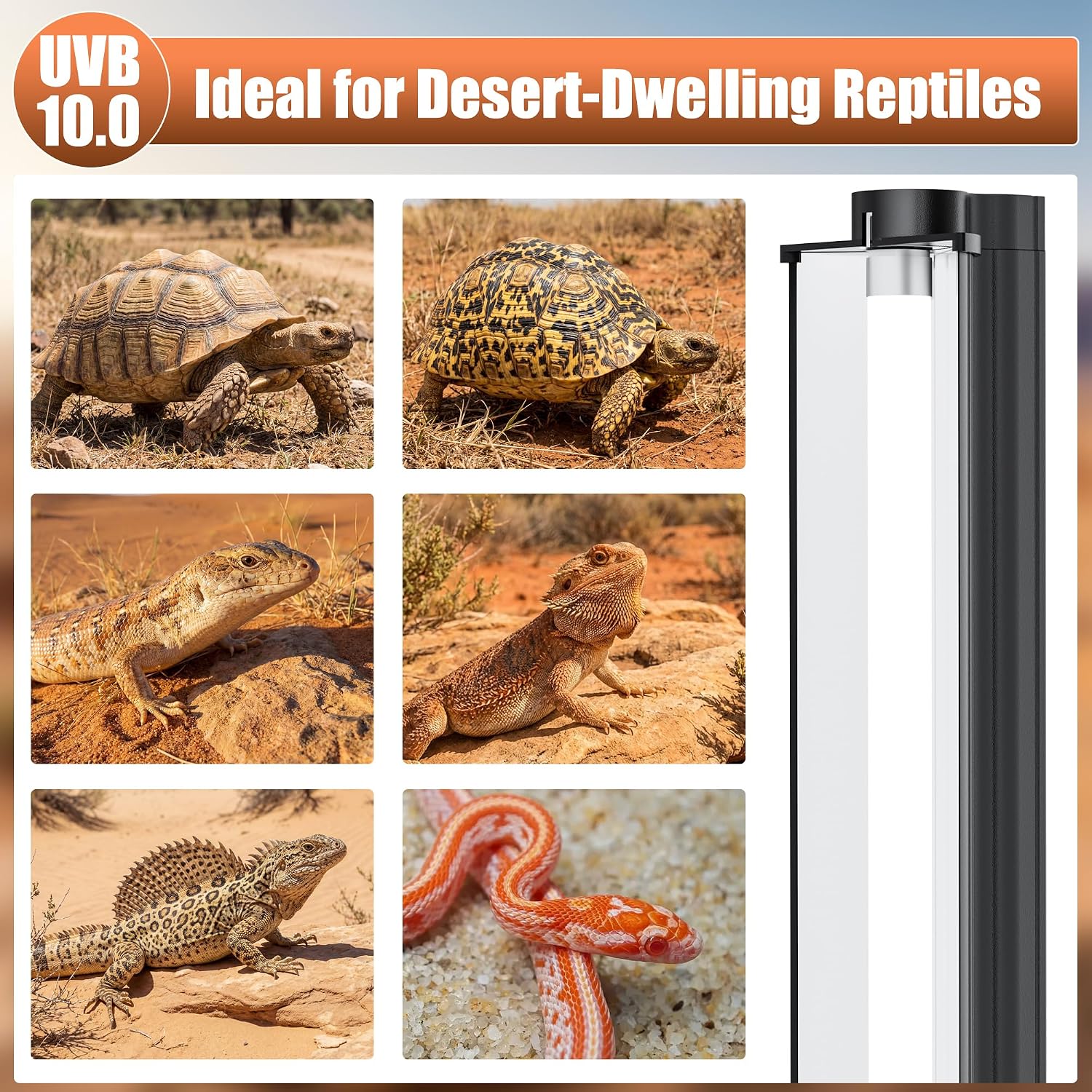 T5 UVB 10.0 Reptile Light Fixture Combo Kit (22Inch) | 14W UVB 10.0 Light Bar with T5 HO Terrarium Hood Light Fixture for Desert Reptiles, Bearded Dragons, Lizards, Tortoises thumbnail 7