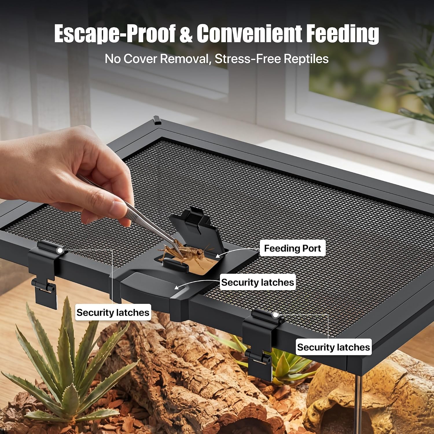 2.5 Gallon Fully Assembled Glass Reptile Enclosure, 12" x 8" x 6" | Small Reptile Terrarium Tank for Tiny Terrestrial Reptiles, Amphibians & Invertebrates thumbnail 7